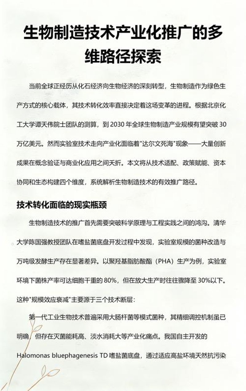 浙江生物科技：绿色创新的力量