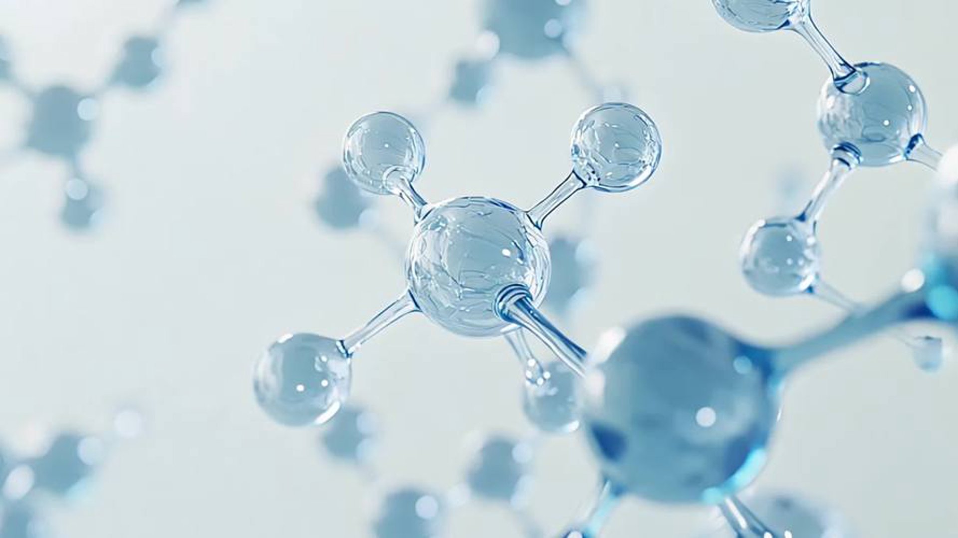 美上玥一生物