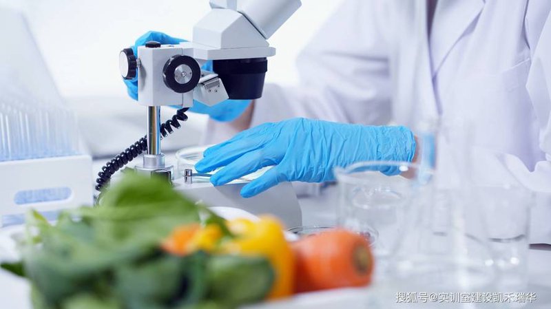 浙江生物科技：探索未来之光